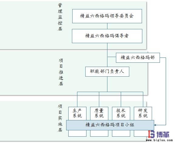 六西格瑪推進組織機構(gòu)建設