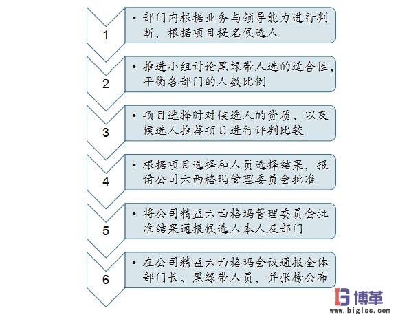 六西格瑪黑帶、綠帶人員的選擇